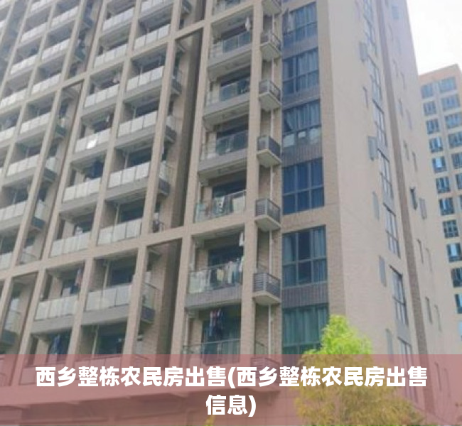 西乡整栋农民房出售(西乡整栋农民房出售信息) 西乡整栋农民房出售(西乡整栋农民房出售信息)