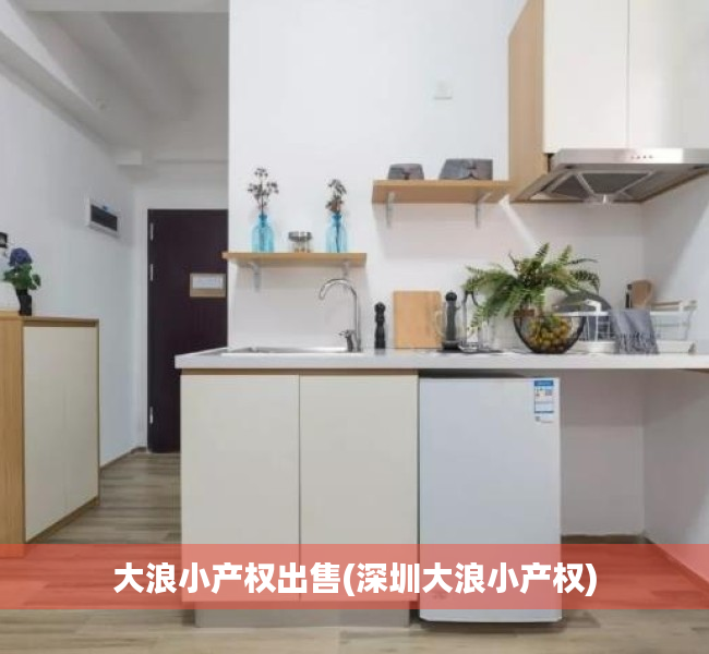 大浪小产权出售(深圳大浪小产权) 大浪小产权出售(深圳大浪小产权)