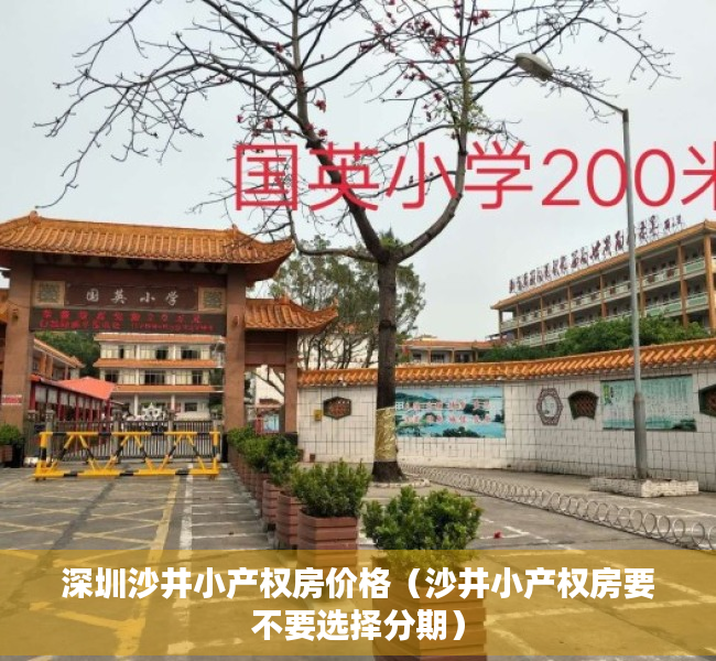 深圳沙井小产权房价格（沙井小产权房要不要选择分期）