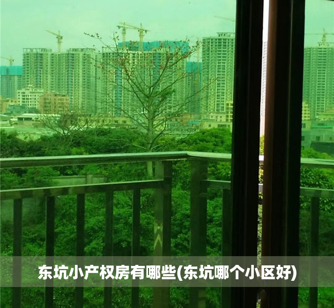 东坑小产权房有哪些(东坑哪个小区好) 东坑小产权房有哪些(东坑哪个小区好)