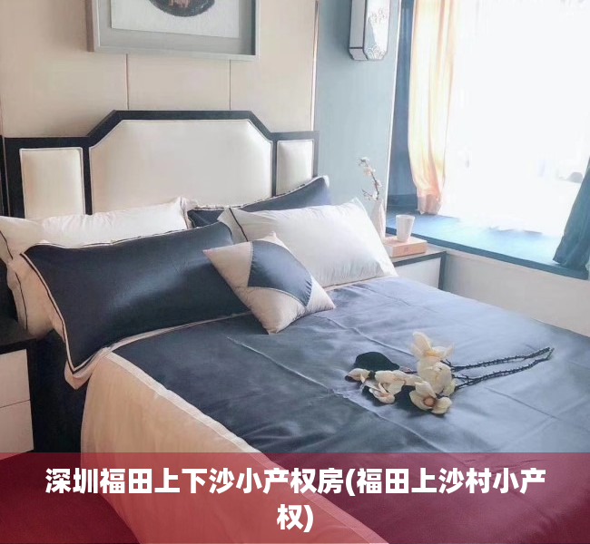 深圳福田上下沙小产权房(福田上沙村小产权) 深圳福田上下沙小产权房(福田上沙村小产权)