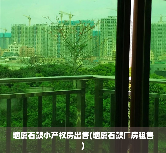 塘厦石鼓小产权房出售(塘厦石鼓厂房租售) 塘厦石鼓小产权房出售(塘厦石鼓厂房租售)