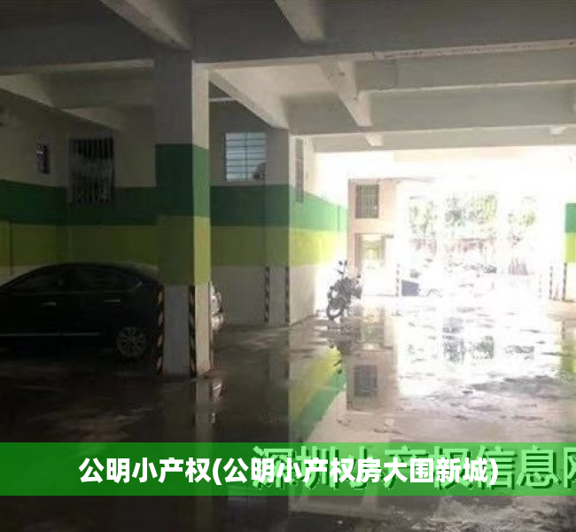 公明小产权(公明小产权房大围新城) 公明小产权(公明小产权房大围新城)