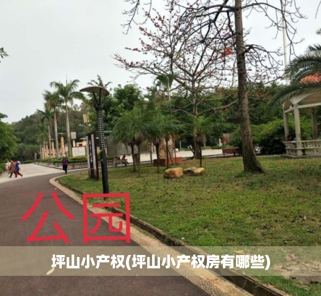 坪山小产权(坪山小产权房有哪些) 坪山小产权(坪山小产权房有哪些)