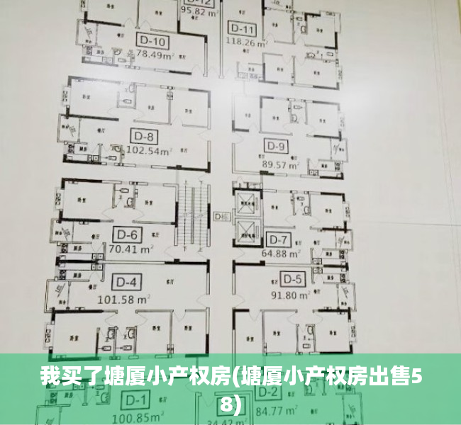 我买了塘厦小产权房(塘厦小产权房出售58)