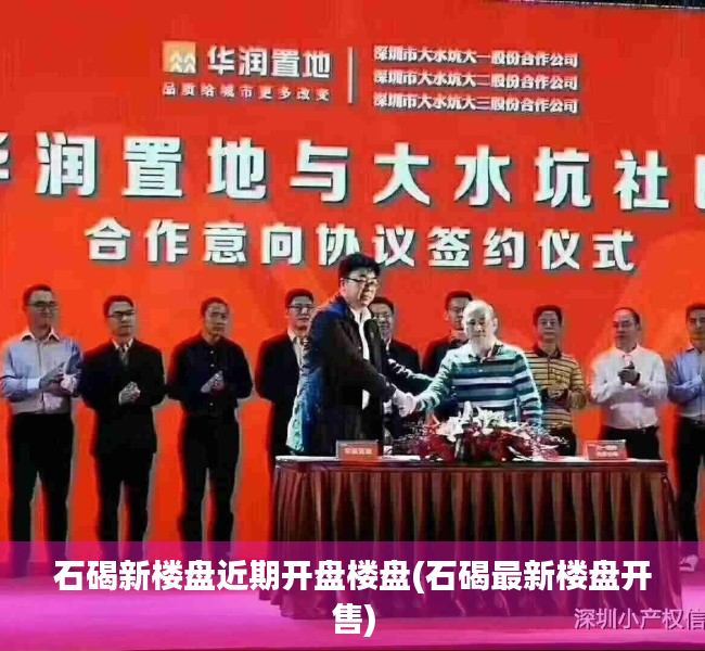 石碣新楼盘近期开盘楼盘(石碣最新楼盘开售)