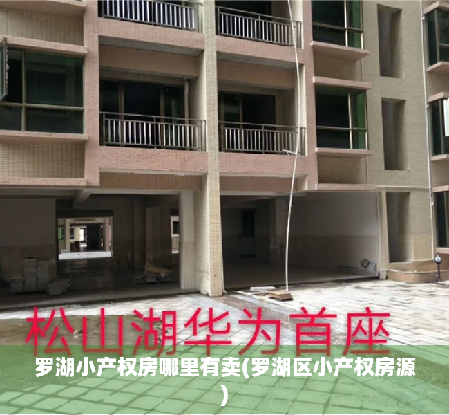 罗湖小产权房哪里有卖(罗湖区小产权房源) 罗湖小产权房哪里有卖(罗湖区小产权房源)