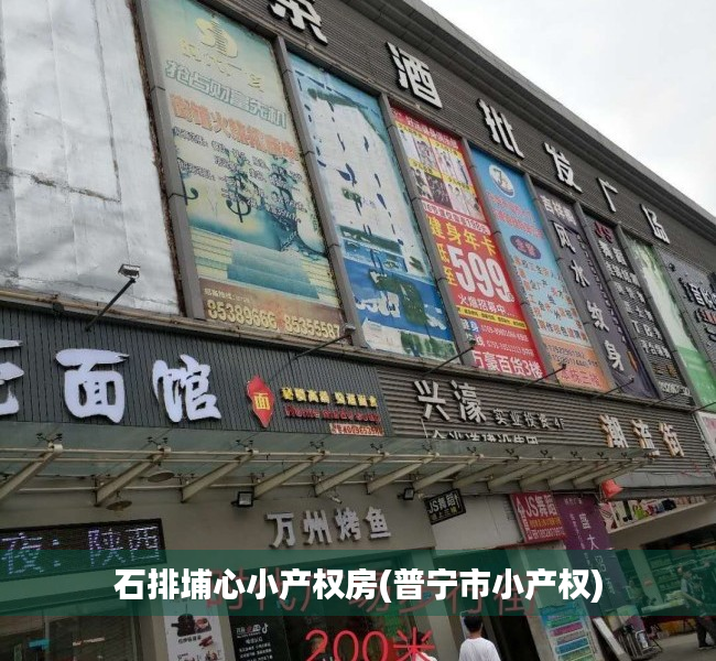 石排埔心小产权房(普宁市小产权) 石排埔心小产权房(普宁市小产权)