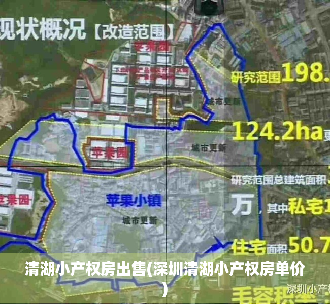 清湖小产权房出售(深圳清湖小产权房单价) 清湖小产权房出售(深圳清湖小产权房单价)