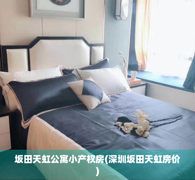 坂田天虹公寓小产权房(深圳坂田天虹房价) 坂田天虹公寓小产权房(深圳坂田天虹房价)