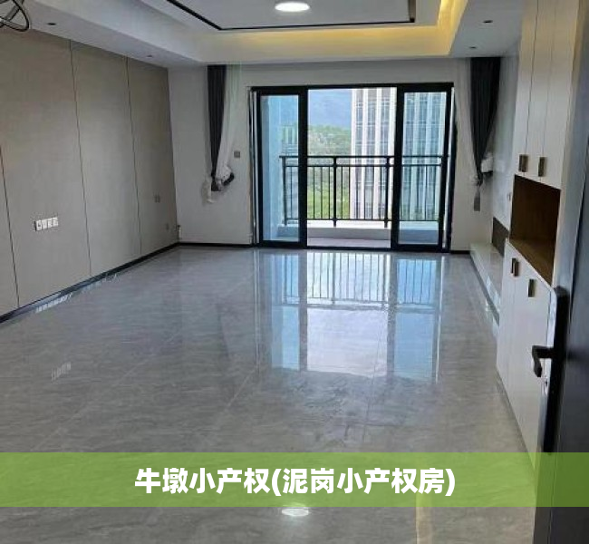 牛墩小产权(泥岗小产权房)