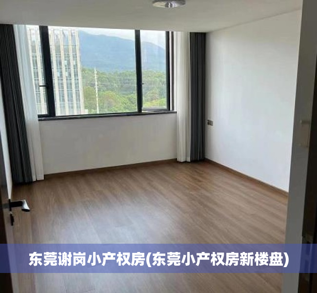 东莞谢岗小产权房(东莞小产权房新楼盘) 东莞谢岗小产权房(东莞小产权房新楼盘)