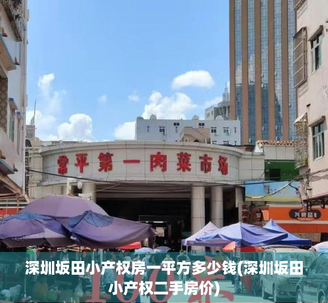 深圳坂田小产权房一平方多少钱(深圳坂田小产权二手房价)