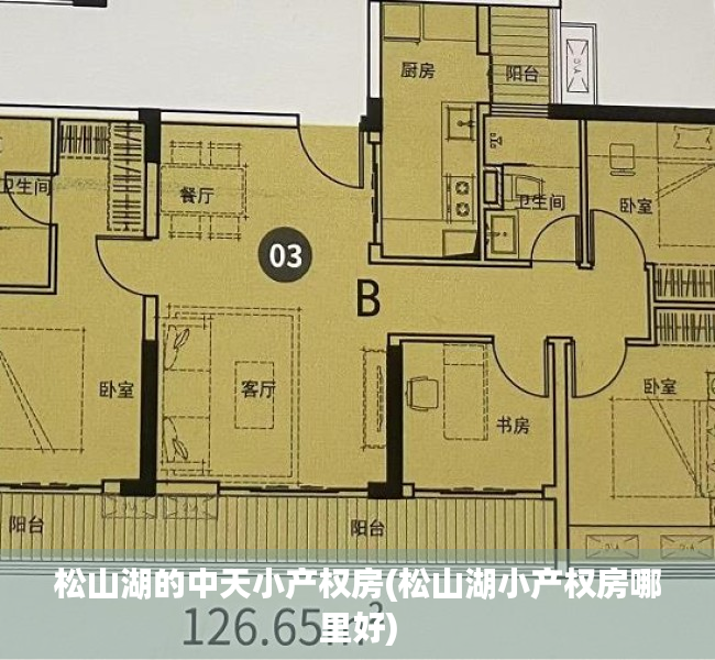 松山湖的中天小产权房(松山湖小产权房哪里好) 松山湖的中天小产权房(松山湖小产权房哪里好)