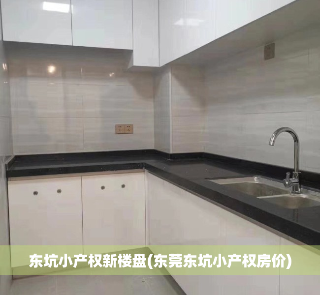 东坑小产权新楼盘(东莞东坑小产权房价) 东坑小产权新楼盘(东莞东坑小产权房价)