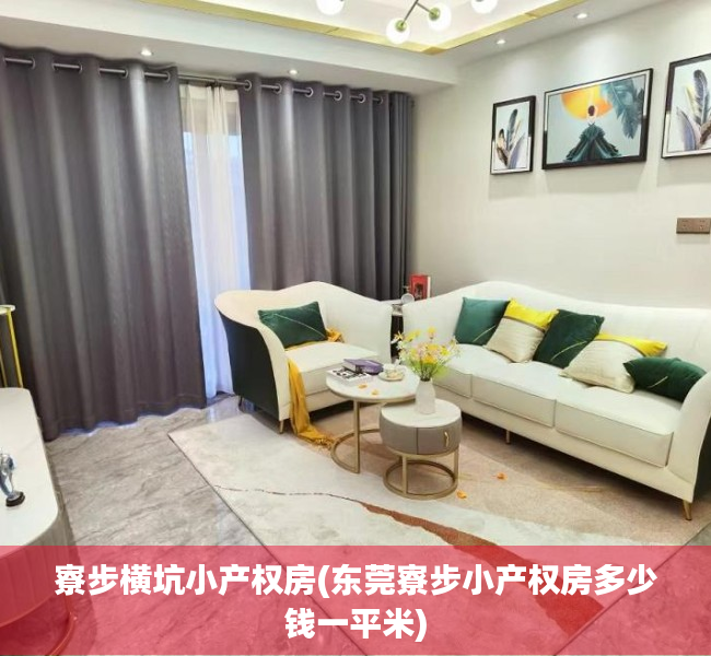 寮步横坑小产权房(东莞寮步小产权房多少钱一平米) 寮步横坑小产权房(东莞寮步小产权房多少钱一平米)