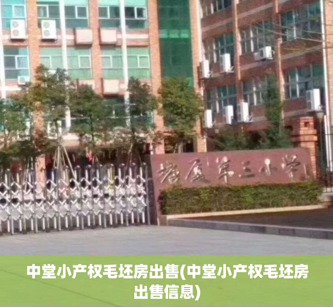 中堂小产权毛坯房出售(中堂小产权毛坯房出售信息) 中堂小产权毛坯房出售(中堂小产权毛坯房出售信息)