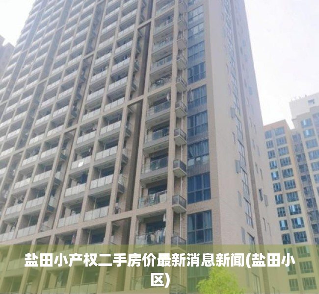 盐田小产权二手房价最新消息新闻(盐田小区) 盐田小产权二手房价最新消息新闻(盐田小区)