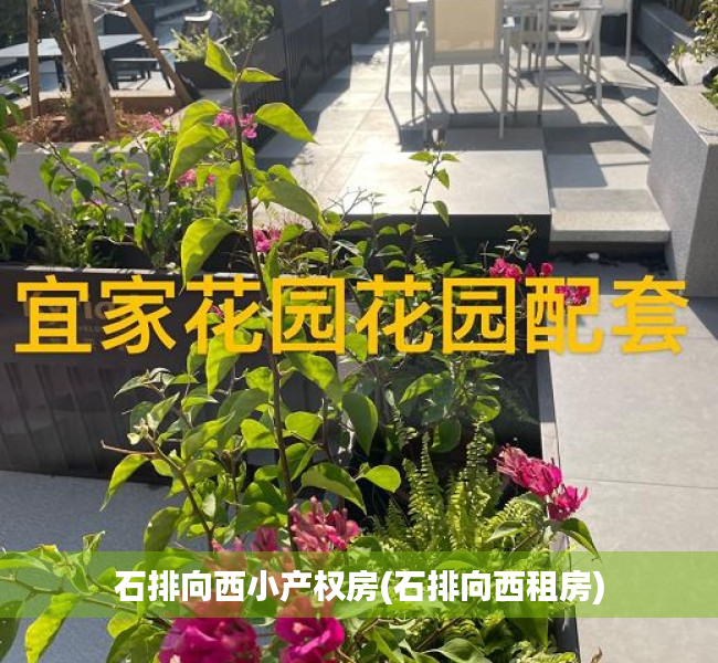 石排向西小产权房(石排向西租房)