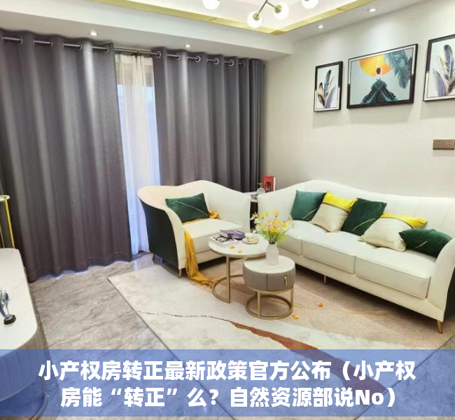 小产权房转正最新政策官方公布（小产权房能“转正”么？自然资源部说No）