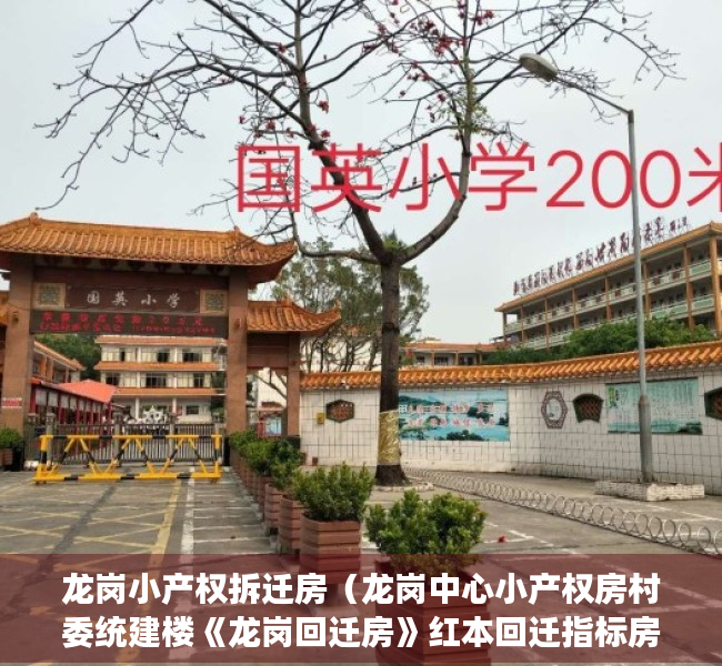 龙岗小产权拆迁房（龙岗中心小产权房村委统建楼《龙岗回迁房》红本回迁指标房 直接开发商签约 单价22800元 最近地铁口 两证一书可以落户性价比最高）