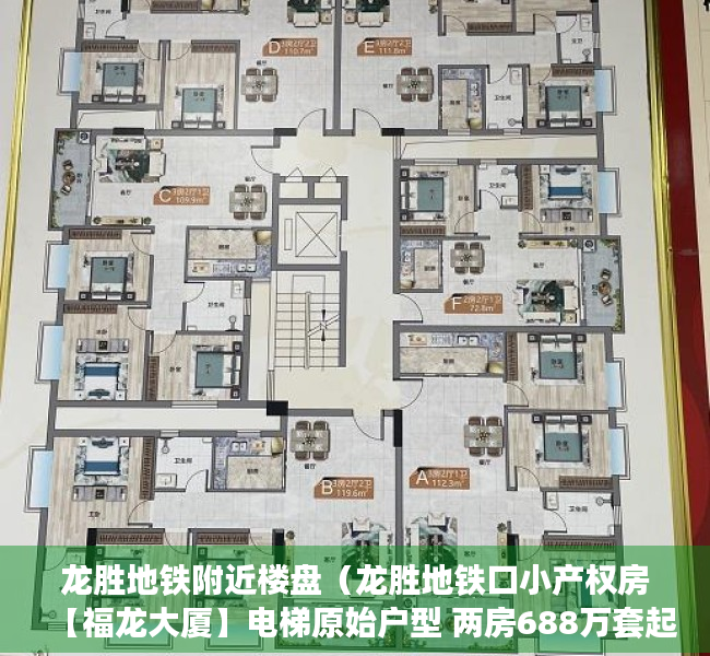 龙胜地铁附近楼盘（龙胜地铁口小产权房【福龙大厦】电梯原始户型 两房688万套起）
