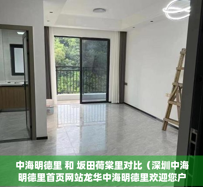 中海明德里 和 坂田荷棠里对比（深圳中海明德里首页网站龙华中海明德里欢迎您户型房价楼盘详情）