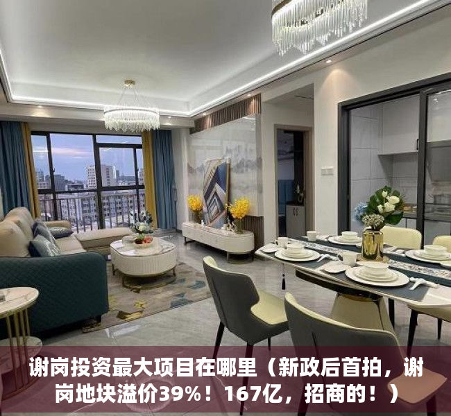 谢岗投资最大项目在哪里（新政后首拍，谢岗地块溢价39%！167亿，招商的！）