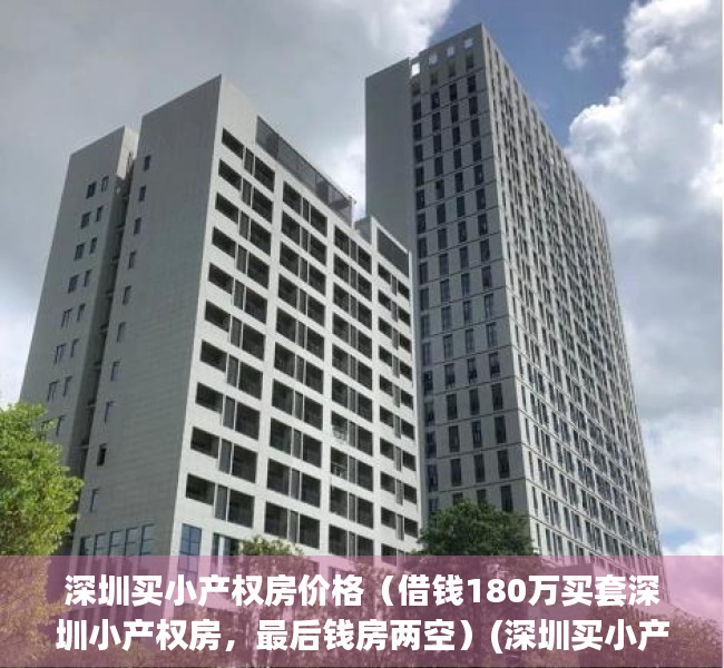 深圳买小产权房价格（借钱180万买套深圳小产权房，最后钱房两空）(深圳买小产权房经历)