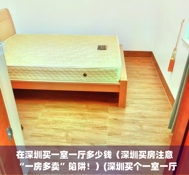 在深圳买一室一厅多少钱（深圳买房注意“一房多卖”陷阱！）(深圳买个一室一厅多少钱)