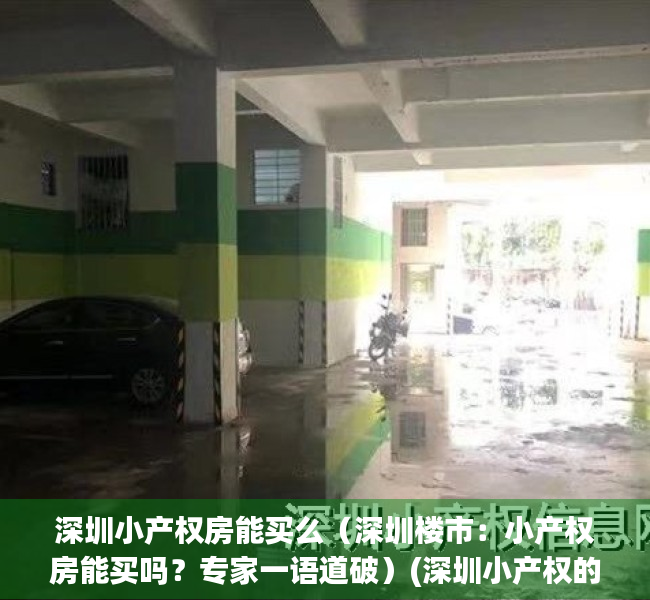 深圳小产权房能买么（深圳楼市：小产权房能买吗？专家一语道破）(深圳小产权的房子可以买吗)