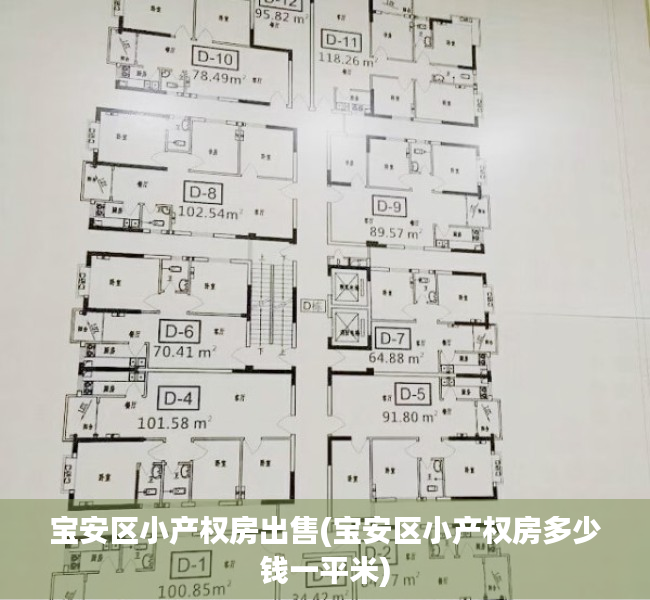 宝安区小产权房出售(宝安区小产权房多少钱一平米)