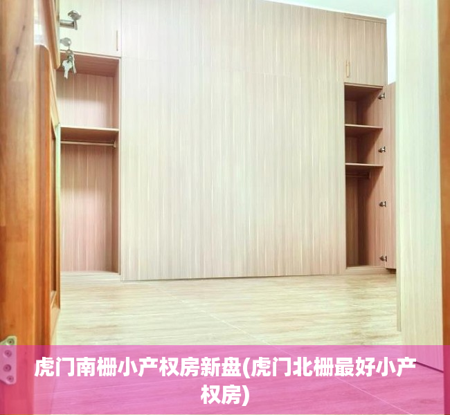 虎门南栅小产权房新盘(虎门北栅最好小产权房)