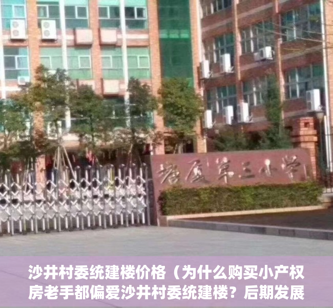 沙井村委统建楼价格（为什么购买小产权房老手都偏爱沙井村委统建楼？后期发展深似海！）