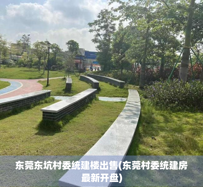 东莞东坑村委统建楼出售(东莞村委统建房最新开盘)