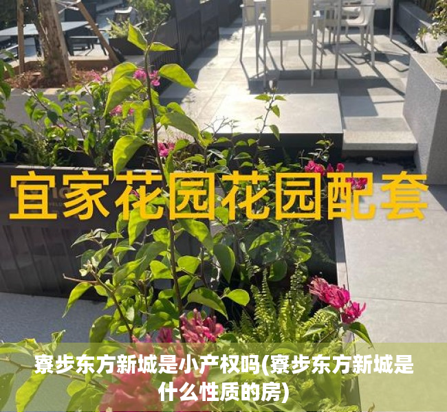 寮步东方新城是小产权吗(寮步东方新城是什么性质的房) 寮步东方新城是小产权吗(寮步东方新城是什么性质的房)
