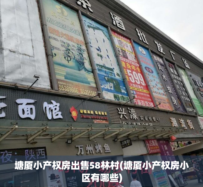 塘厦小产权房出售58林村(塘厦小产权房小区有哪些)