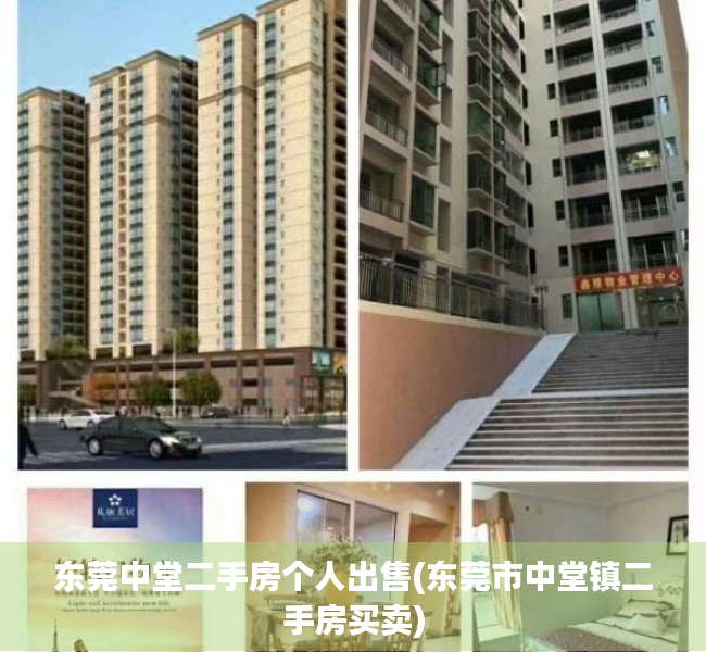 东莞中堂二手房个人出售(东莞市中堂镇二手房买卖)