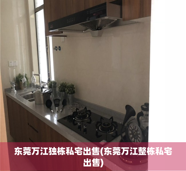东莞万江独栋私宅出售(东莞万江整栋私宅出售)