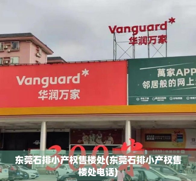 东莞石排小产权售楼处(东莞石排小产权售楼处电话)