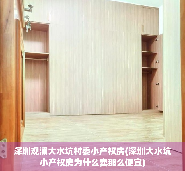 深圳观澜大水坑村委小产权房(深圳大水坑小产权房为什么卖那么便宜) 深圳观澜大水坑村委小产权房(深圳大水坑小产权房为什么卖那么便宜)