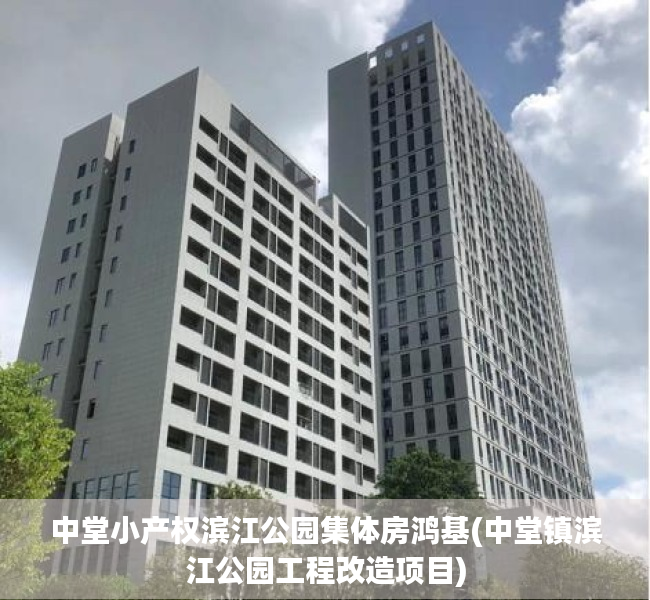 中堂小产权滨江公园集体房鸿基(中堂镇滨江公园工程改造项目)