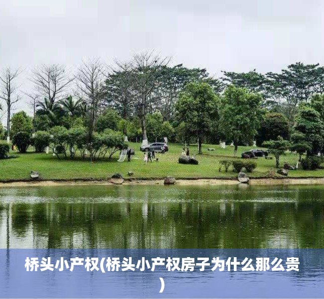 桥头小产权(桥头小产权房子为什么那么贵) 桥头小产权(桥头小产权房子为什么那么贵)