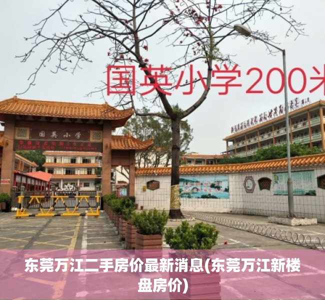 东莞万江二手房价最新消息(东莞万江新楼盘房价) 东莞万江二手房价最新消息(东莞万江新楼盘房价)