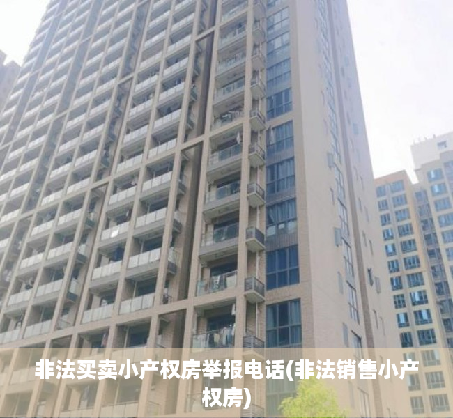 非法买卖小产权房举报电话(非法销售小产权房) 非法买卖小产权房举报电话(非法销售小产权房)