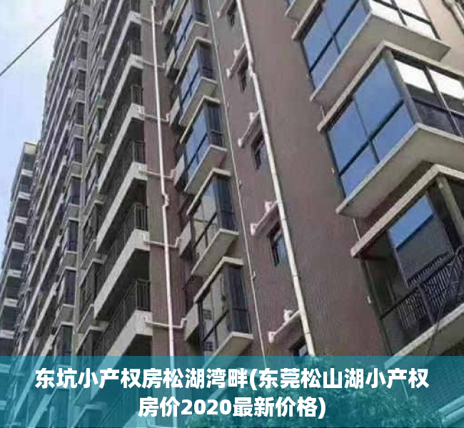 东坑小产权房松湖湾畔(东莞松山湖小产权房价2020最新价格) 东坑小产权房松湖湾畔(东莞松山湖小产权房价2020最新价格)