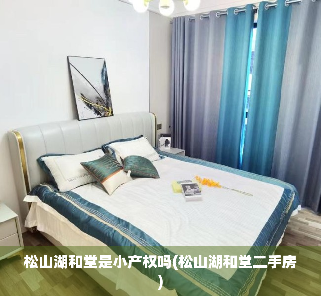 松山湖和堂是小产权吗(松山湖和堂二手房)