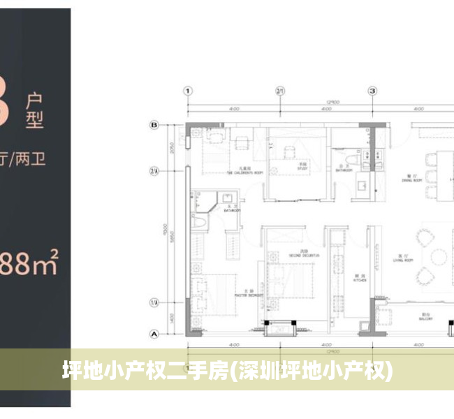 坪地小产权二手房(深圳坪地小产权)