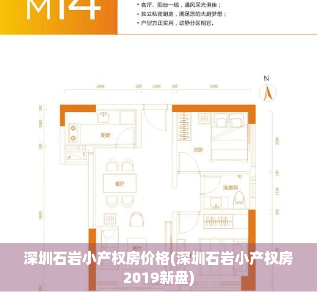 深圳石岩小产权房价格(深圳石岩小产权房2019新盘) 深圳石岩小产权房价格(深圳石岩小产权房2019新盘)