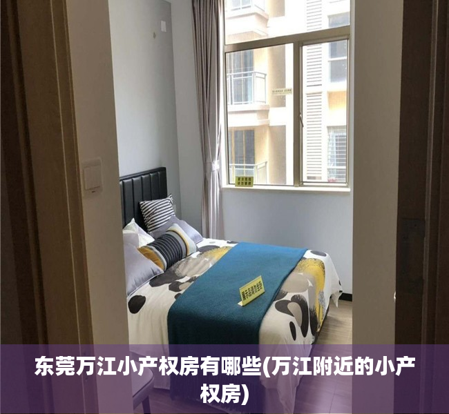 东莞万江小产权房有哪些(万江附近的小产权房)